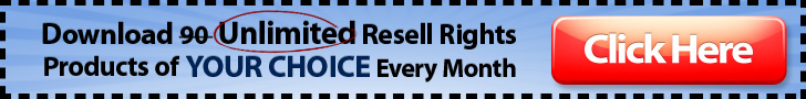 Niche Products Private Label Rights make money online