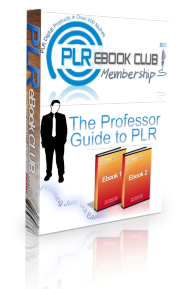 The Professor's Guide to PLR eBooks | Products